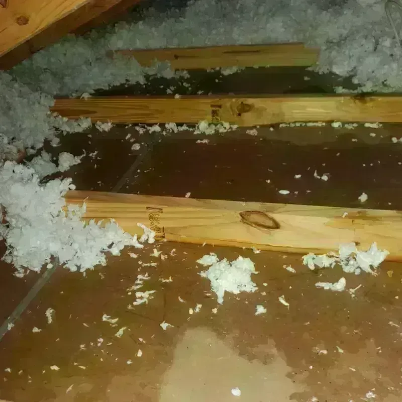 Attic Water Damage in Las Ollas, PR